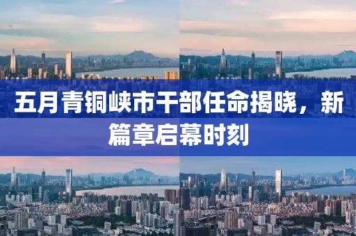 五月青铜峡市干部任命揭晓，新篇章启幕时刻