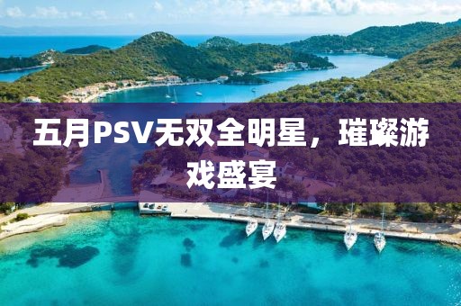 五月PSV无双全明星，璀璨游戏盛宴