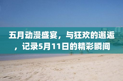 五月动漫盛宴，与狂欢的邂逅，记录5月11日的精彩瞬间