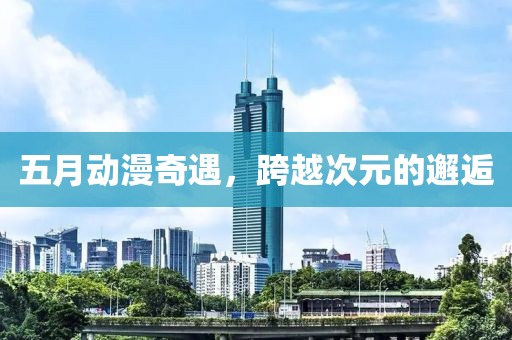 五月动漫奇遇，跨越次元的邂逅