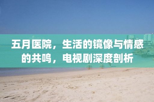 五月医院，生活的镜像与情感的共鸣，电视剧深度剖析