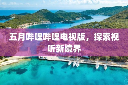 五月哔哩哔哩电视版，探索视听新境界