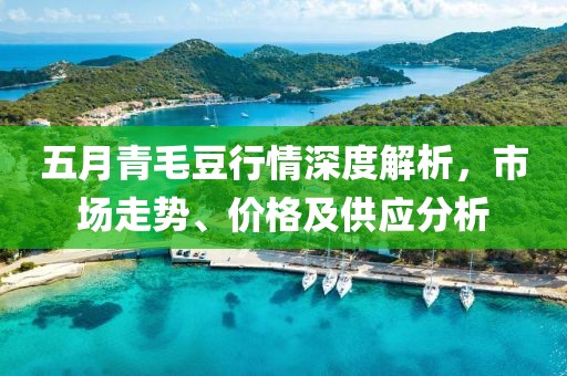 五月青毛豆行情深度解析，市场走势、价格及供应分析