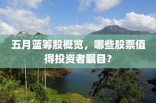 五月蓝筹股概览，哪些股票值得投资者瞩目？