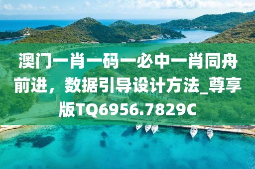 澳门一肖一码一必中一肖同舟前进，数据引导设计方法_尊享版TQ6956.7829C