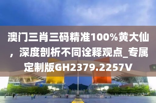 澳门三肖三码精准100%黄大仙，深度剖析不同诠释观点_专属定制版GH2379.2257V