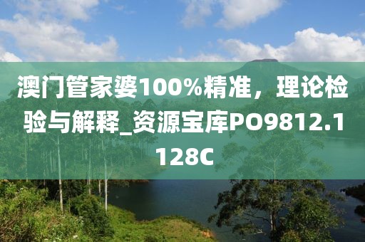 澳门管家婆100%精准，理论检验与解释_资源宝库PO9812.1128C