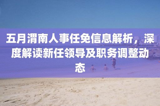 五月渭南人事任免信息解析，深度解读新任领导及职务调整动态