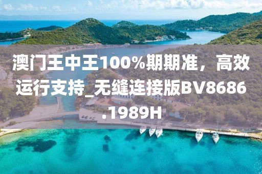 澳门王中王100%期期准，高效运行支持_无缝连接版BV8686.1989H