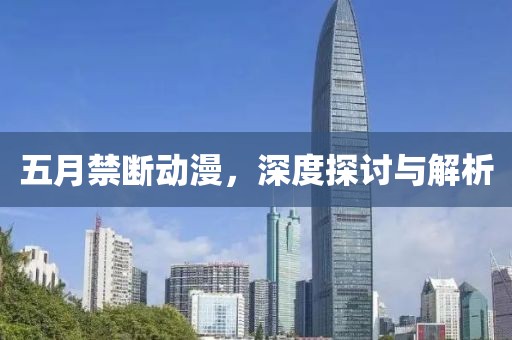 五月禁断动漫，深度探讨与解析