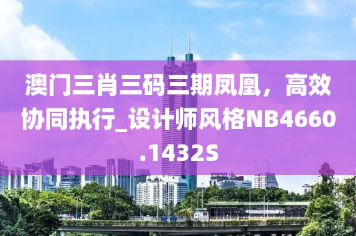 澳门三肖三码三期凤凰，高效协同执行_设计师风格NB4660.1432S