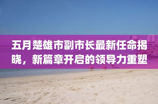 五月楚雄市副市长最新任命揭晓，新篇章开启的领导力重塑