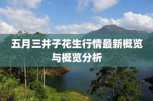 五月三井子花生行情最新概览与概览分析