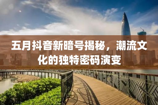 五月抖音新暗号揭秘，潮流文化的独特密码演变