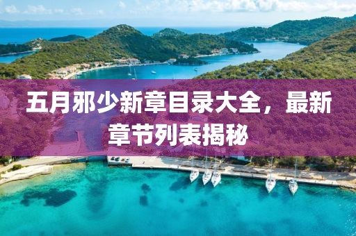 五月邪少新章目录大全，最新章节列表揭秘
