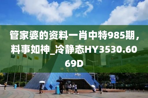 管家婆的资料一肖中特985期，料事如神_冷静态HY3530.6069D