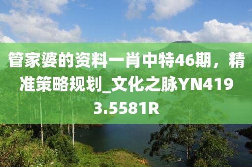 管家婆的资料一肖中特46期，精准策略规划_文化之脉YN4193.5581R