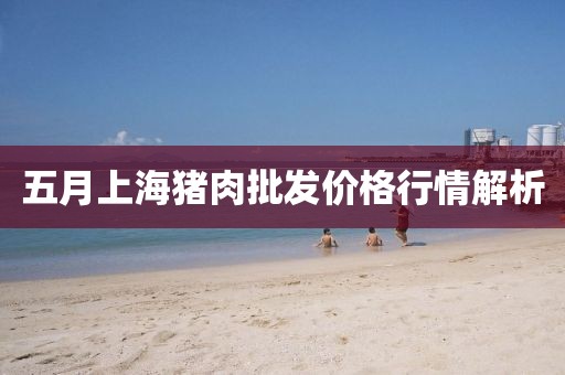 五月上海猪肉批发价格行情解析