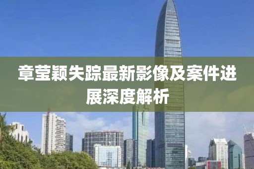 章莹颖失踪最新影像及案件进展深度解析