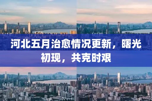 河北五月治愈情况更新，曙光初现，共克时艰