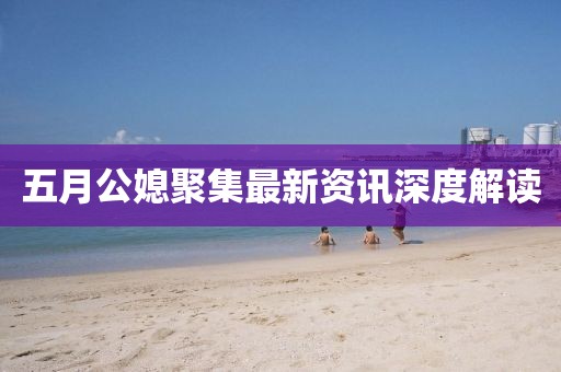 五月公媳聚集最新资讯深度解读