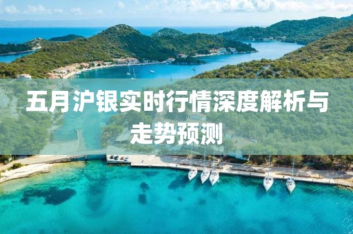 五月沪银实时行情深度解析与走势预测