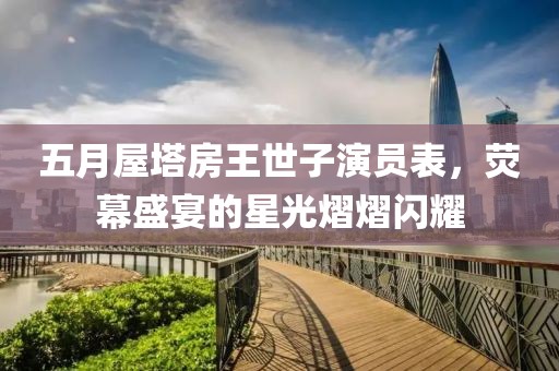 五月屋塔房王世子演员表，荧幕盛宴的星光熠熠闪耀