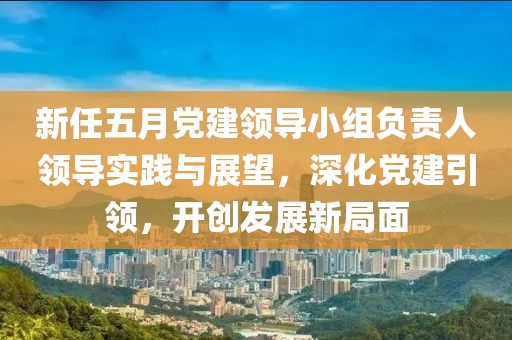 新任五月党建领导小组负责人领导实践与展望，深化党建引领，开创发展新局面