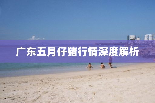 广东五月仔猪行情深度解析