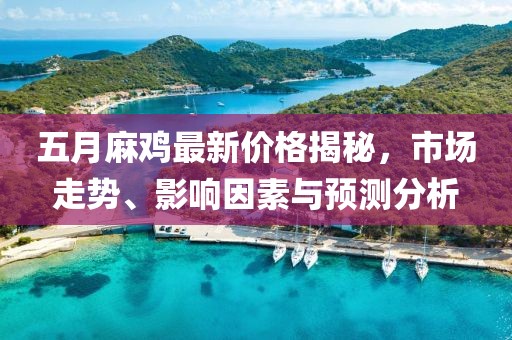 五月麻鸡最新价格揭秘，市场走势、影响因素与预测分析
