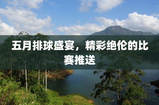 五月排球盛宴，精彩绝伦的比赛推送