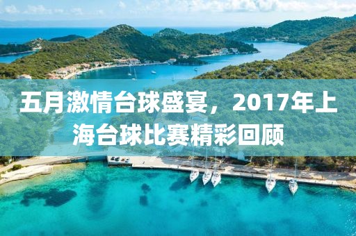 五月激情台球盛宴，2017年上海台球比赛精彩回顾