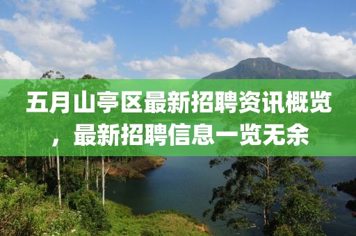 五月山亭区最新招聘资讯概览，最新招聘信息一览无余