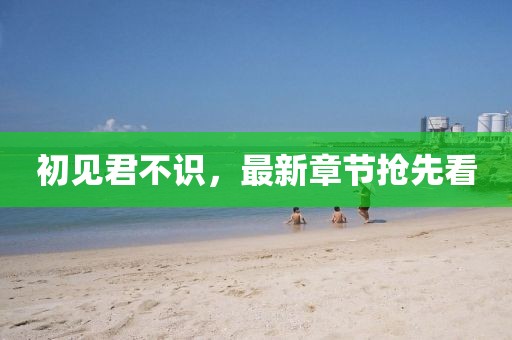 远行de风 第28页