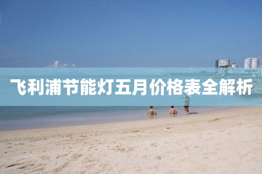 飞利浦节能灯五月价格表全解析