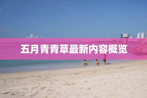 五月青青草最新内容概览