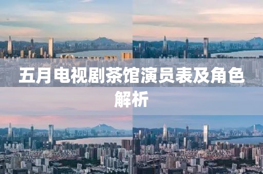 五月电视剧茶馆演员表及角色解析
