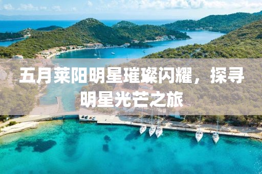 五月莱阳明星璀璨闪耀，探寻明星光芒之旅