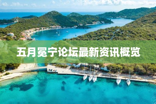 五月冕宁论坛最新资讯概览