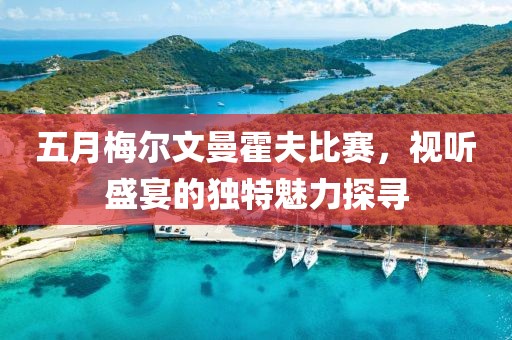 五月梅尔文曼霍夫比赛，视听盛宴的独特魅力探寻