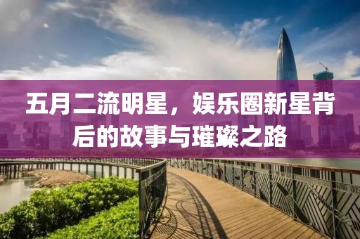 五月二流明星，娱乐圈新星背后的故事与璀璨之路