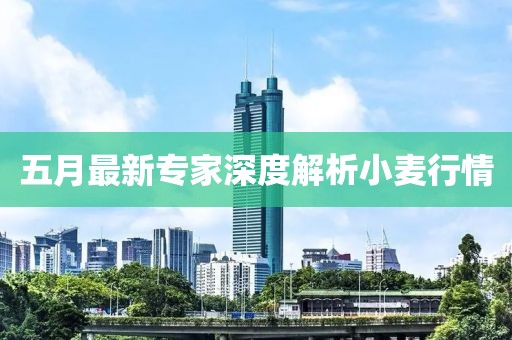 五月最新专家深度解析小麦行情