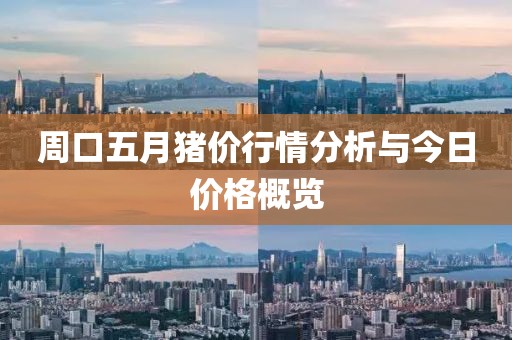 周口五月猪价行情分析与今日价格概览