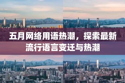 五月网络用语热潮，探索最新流行语言变迁与热潮