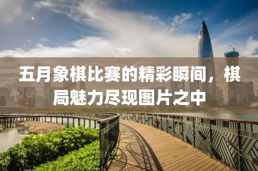五月象棋比赛的精彩瞬间，棋局魅力尽现图片之中