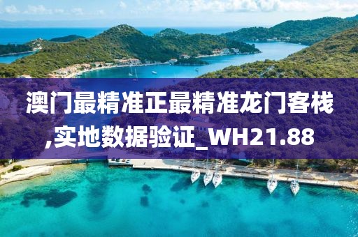 澳门最精准正最精准龙门客栈,实地数据验证_WH21.88