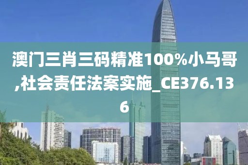 澳门三肖三码精准100%小马哥,社会责任法案实施_CE376.136