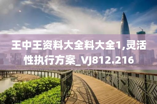 王中王资料大全料大全1,灵活性执行方案_VJ812.216