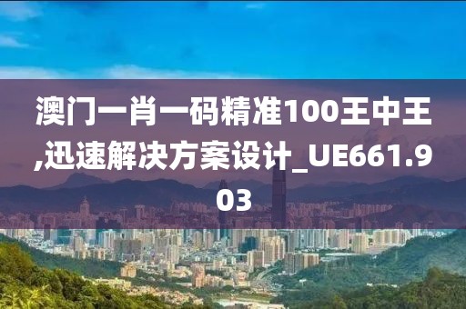 澳门一肖一码精准100王中王,迅速解决方案设计_UE661.903