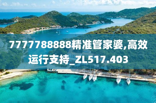 7777788888精准管家婆,高效运行支持_ZL517.403